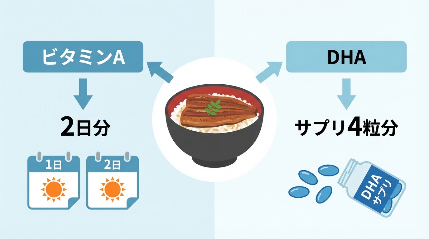 うなぎの栄養密度（サプリメント換算）