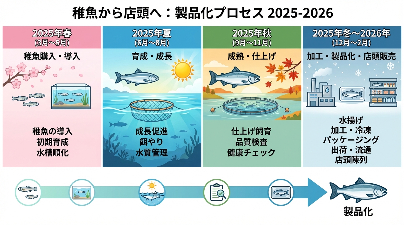 稚魚購入から店頭に並ぶまでのタイムライン