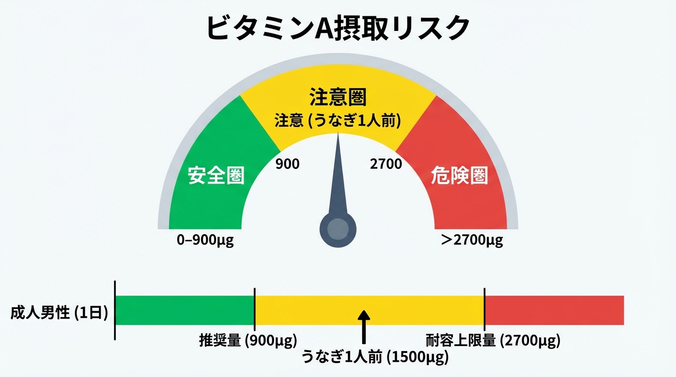 ビタミンA摂取量のリスク管理